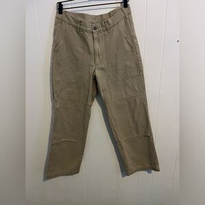 Patagonia organic cotton double knee workwear pants size 32 earthtone